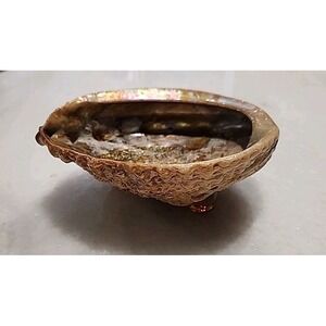 Vintage Abalone Shell Trinket Dish Lucite Feet 5.75x5 Silver  Highly Iridescent